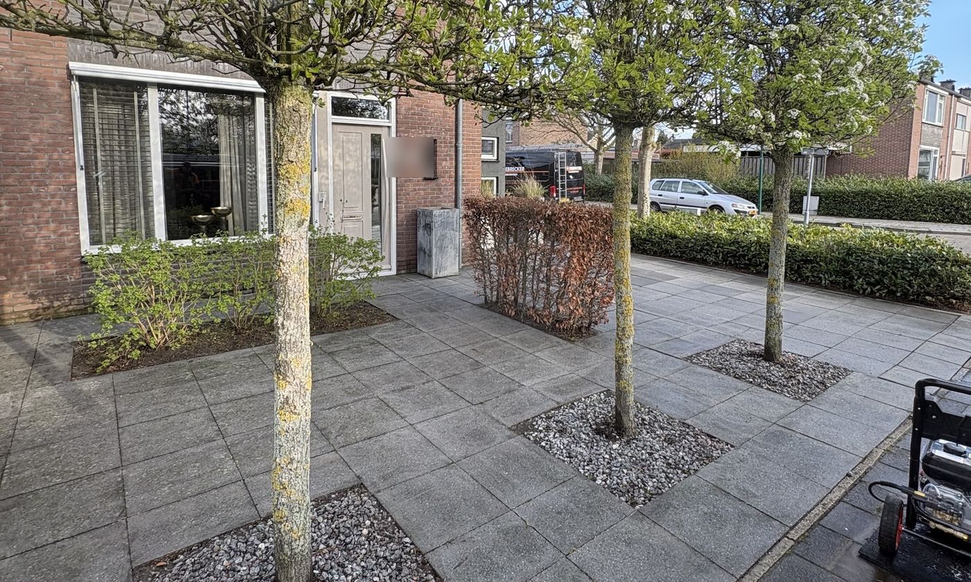 Voortuin met grote grijze tegels en drie bloeiende bomen in grindvakken, net gereinigd